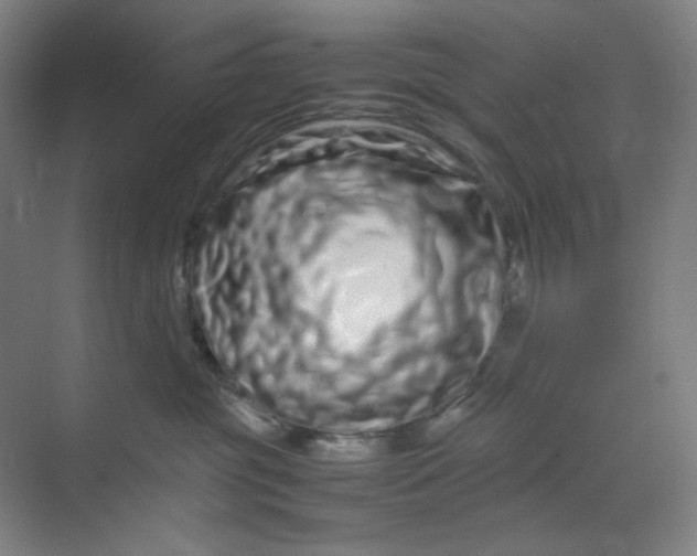 X0000070190381200606091539