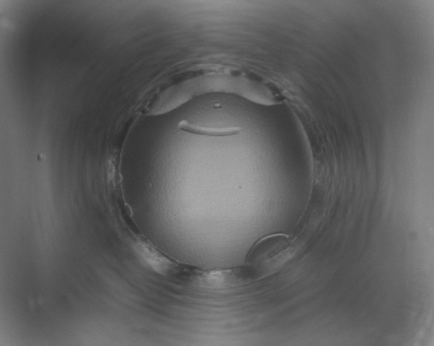 X0000070190382200606091539