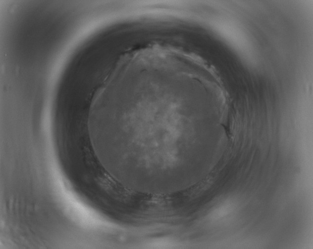 X0000070190383200606091539