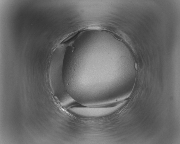 X0000070190385200606091538