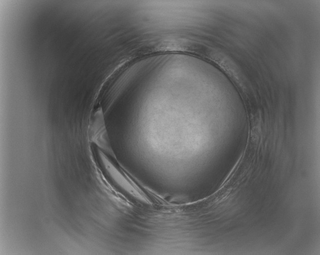 X0000070190386200606091538