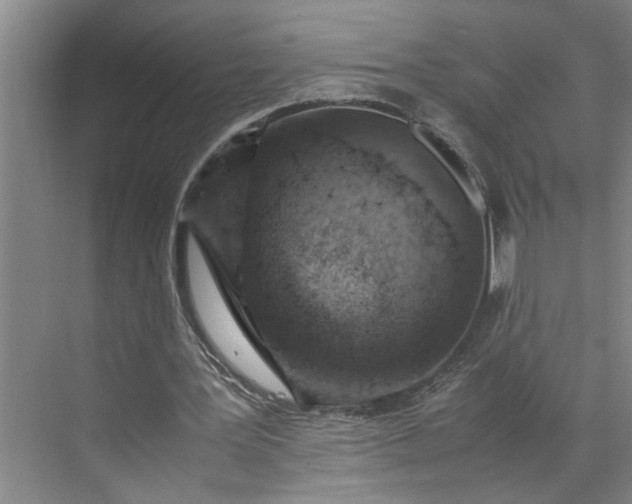 X0000070190387200606091538