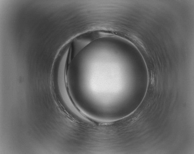 X0000070190388200606091538