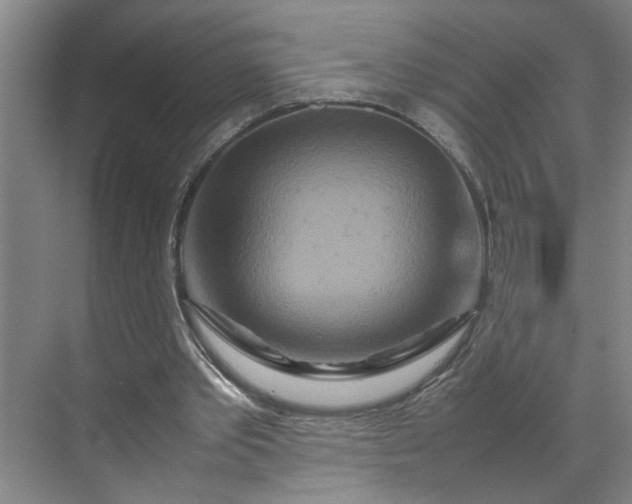 X0000070190389200606091538