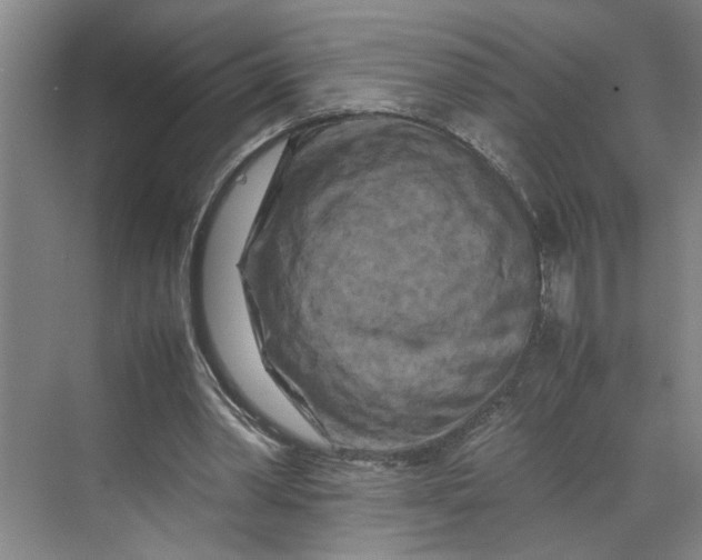 X0000070190390200606091538