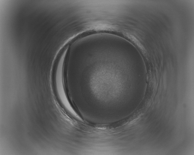 X0000070190391200606091538