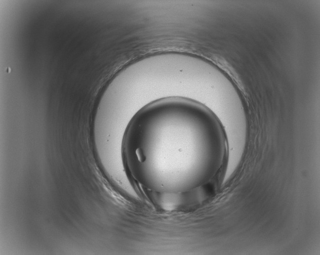 X0000070190393200606091538