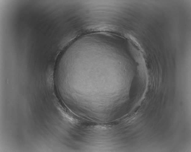 X0000070190394200606091538