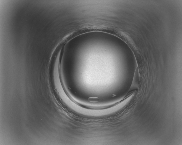 X0000070190395200606091538