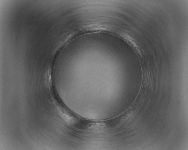 X0000070190398200606091538