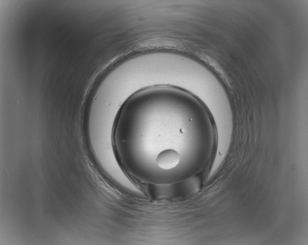 X0000070190399200606091538