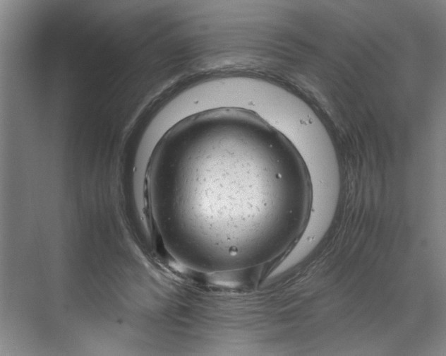 X0000070190400200606091538