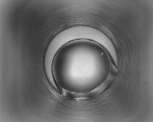 X0000070190401200606091538