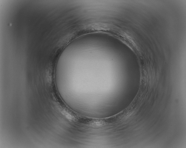 X0000070190402200606091538