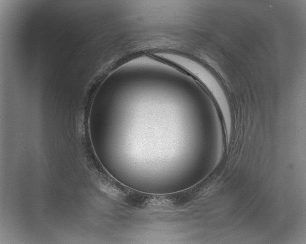 X0000070190403200606091538