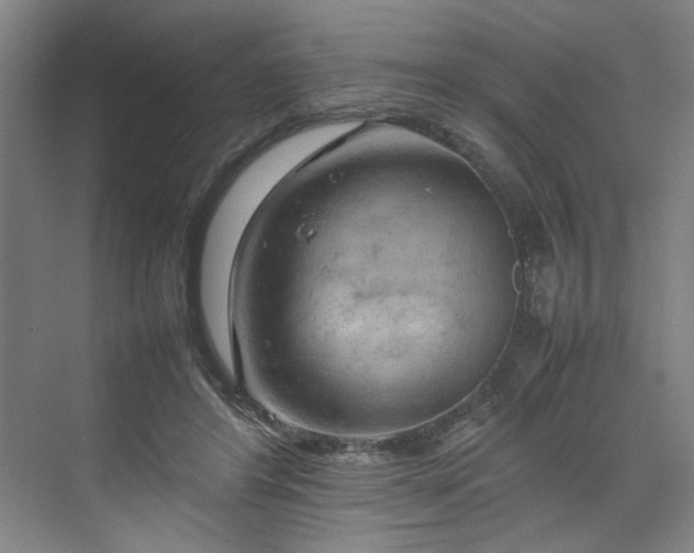 X0000070190404200606091538