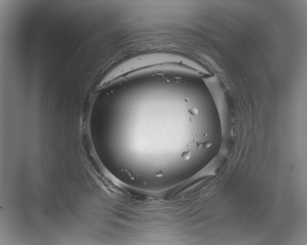 X0000070190405200606091538