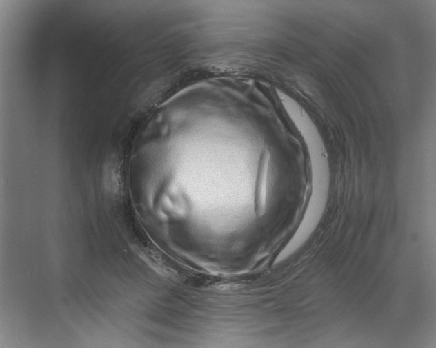 X0000070190408200606091538