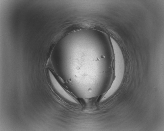 X0000070190409200606091538