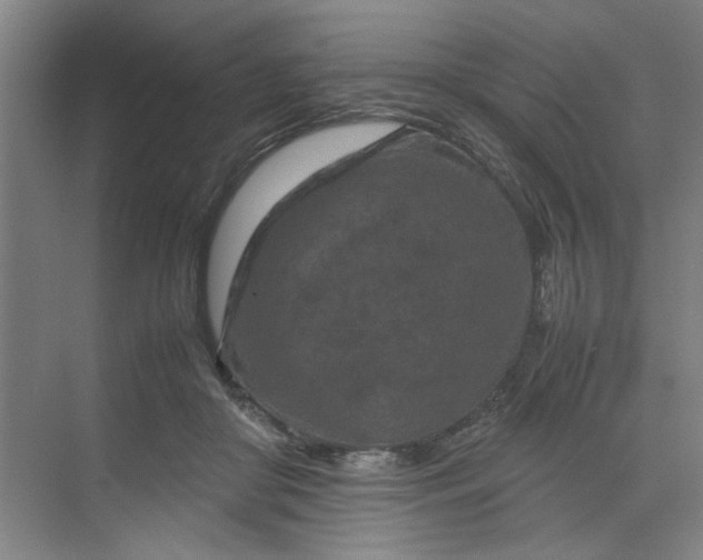 X0000070190410200606091538