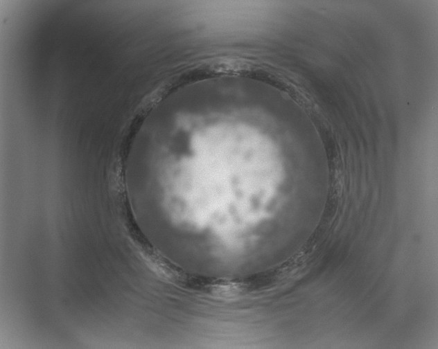 X0000070190411200606091538