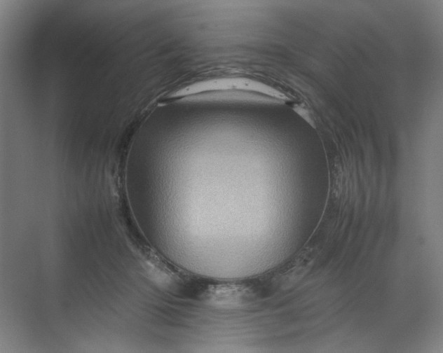 X0000070190414200606091538