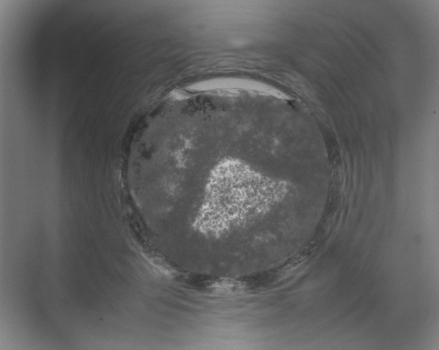 X0000070190415200606091537