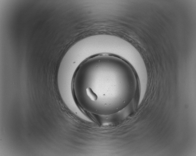 X0000070190417200606091537