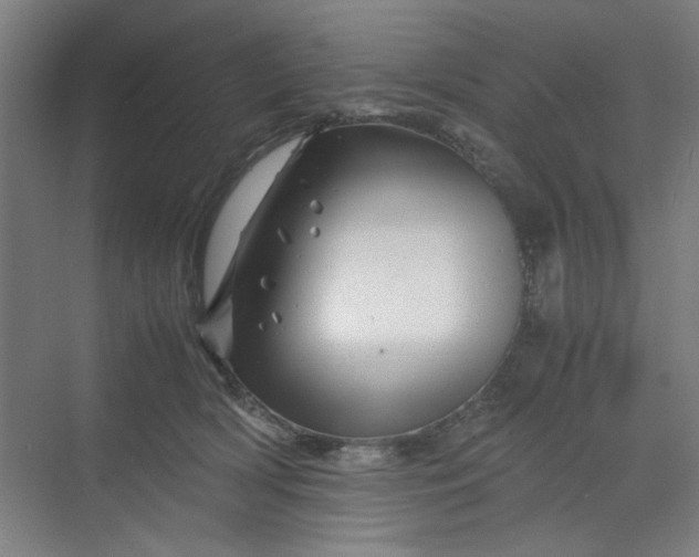 X0000070190418200606091537