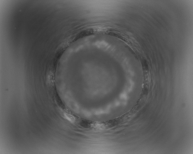 X0000070190419200606091537