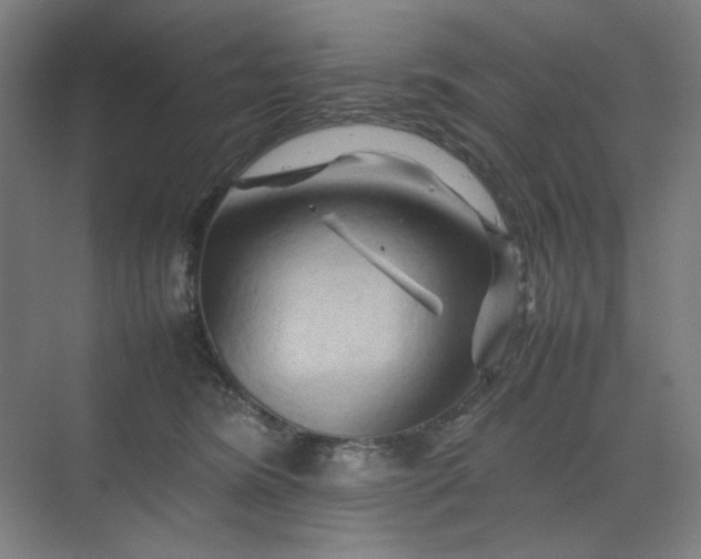 X0000070190420200606091537