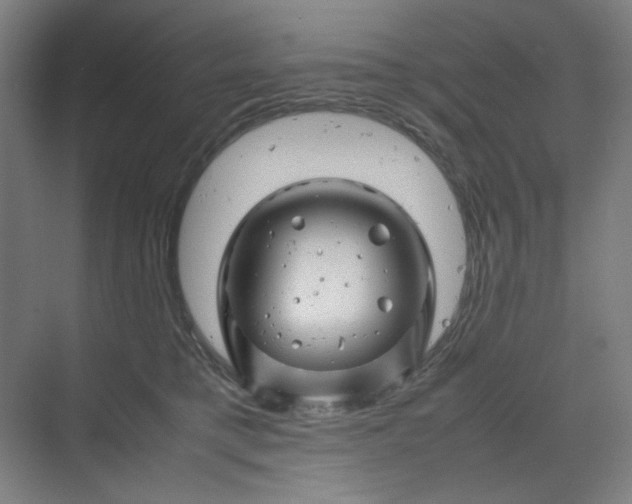 X0000070190421200606091537