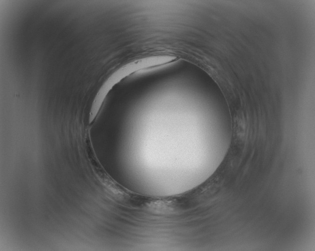 X0000070190422200606091537