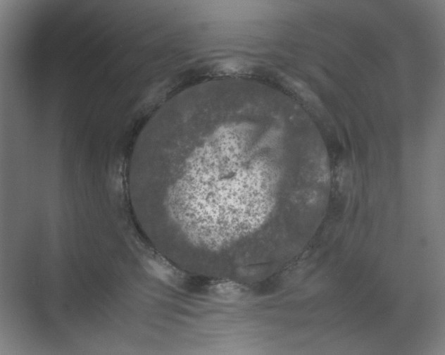 X0000070190423200606091537