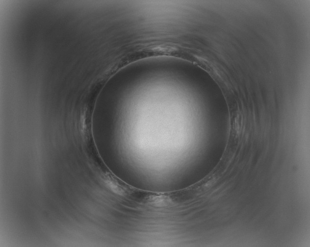 X0000070190424200606091537