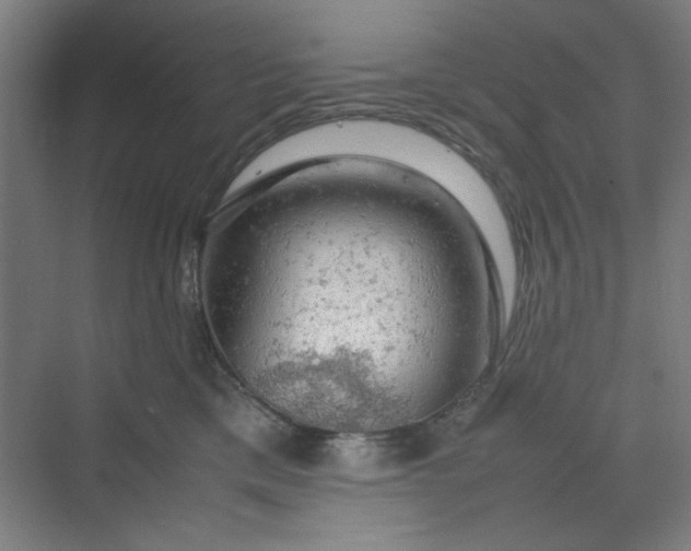 X0000070190425200606091537