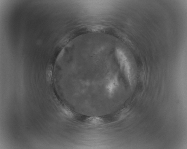 X0000070190427200606091537