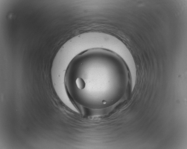 X0000070190429200606091537