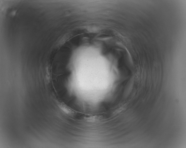 X0000070190430200606091537