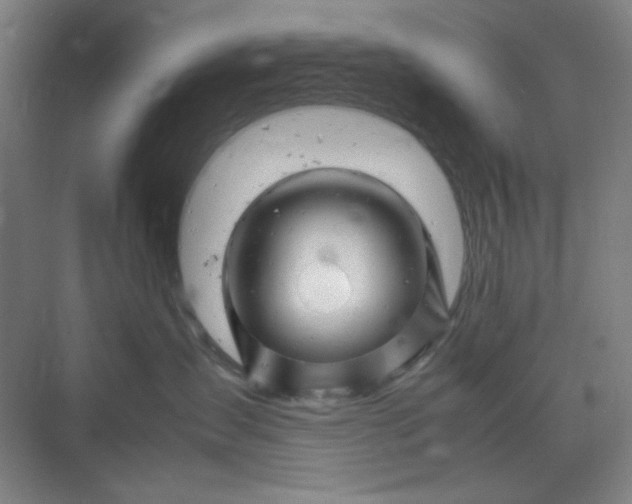 X0000070190431200606091537