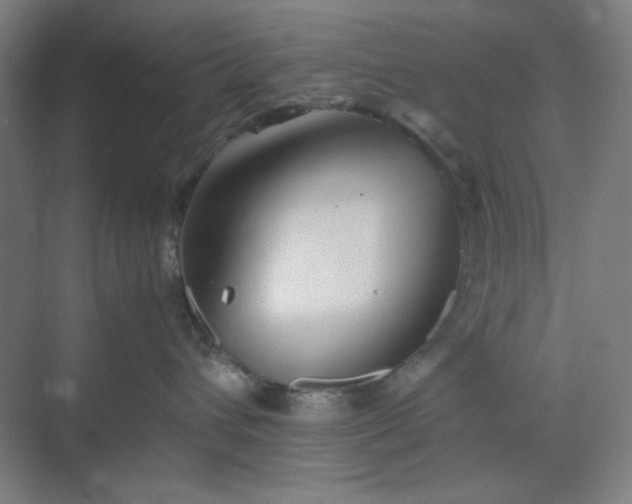 X0000070190432200606091537