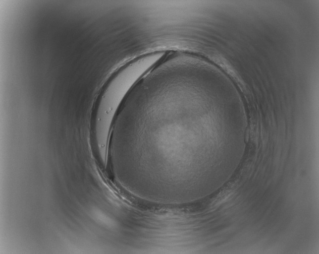 X0000070190434200606091536