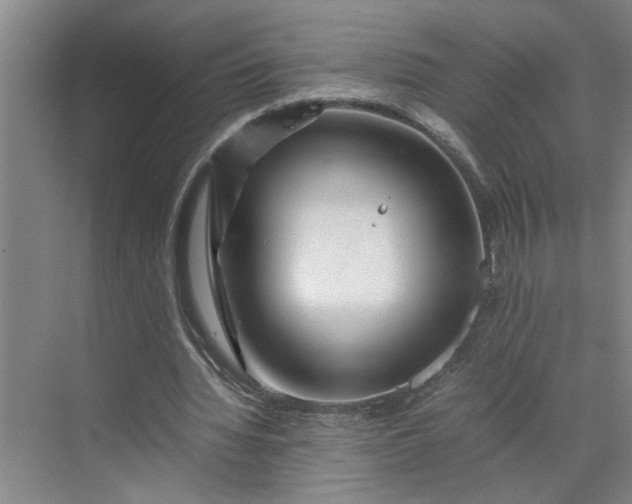 X0000070190436200606091536