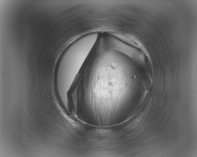 X0000070190437200606091536