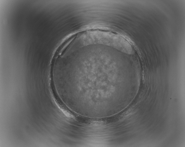 X0000070190438200606091536