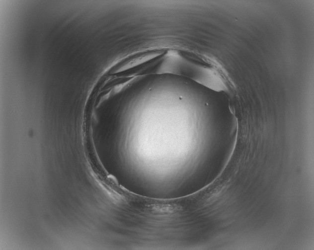 X0000070190439200606091537