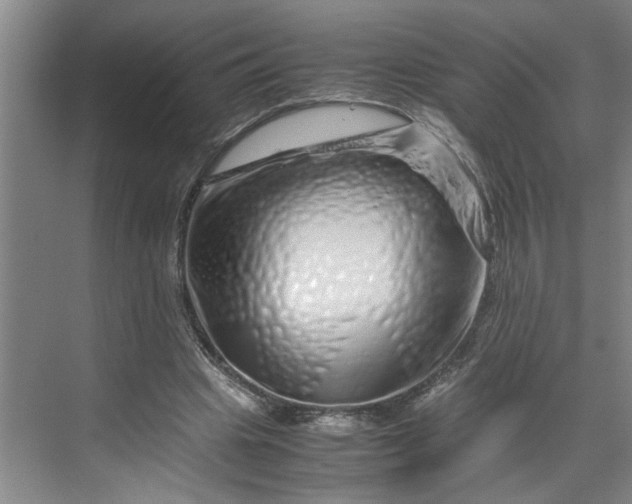 X0000070190441200606091537