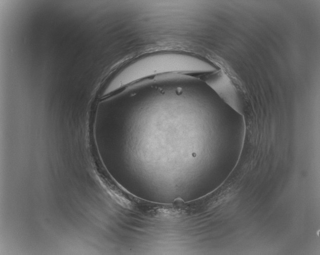 X0000070190442200606091537