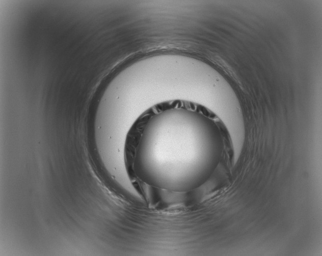 X0000070190444200606091537