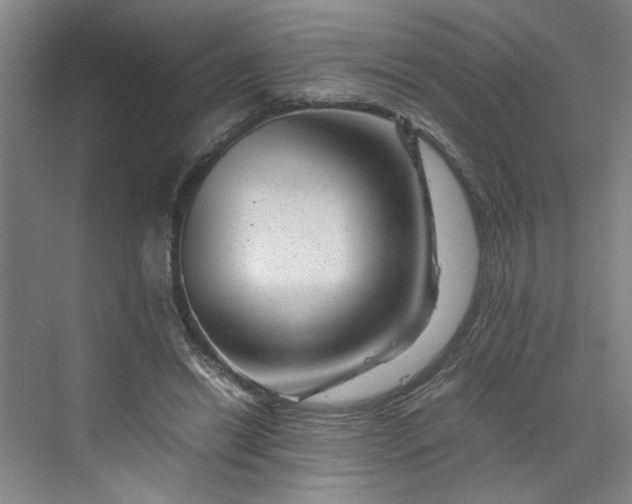 X0000070190446200606091537